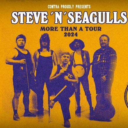 Steve 'n' Seagulls