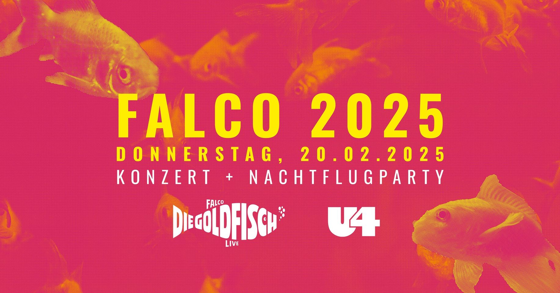 Falco 25 am 20. February 2025 @ U4.