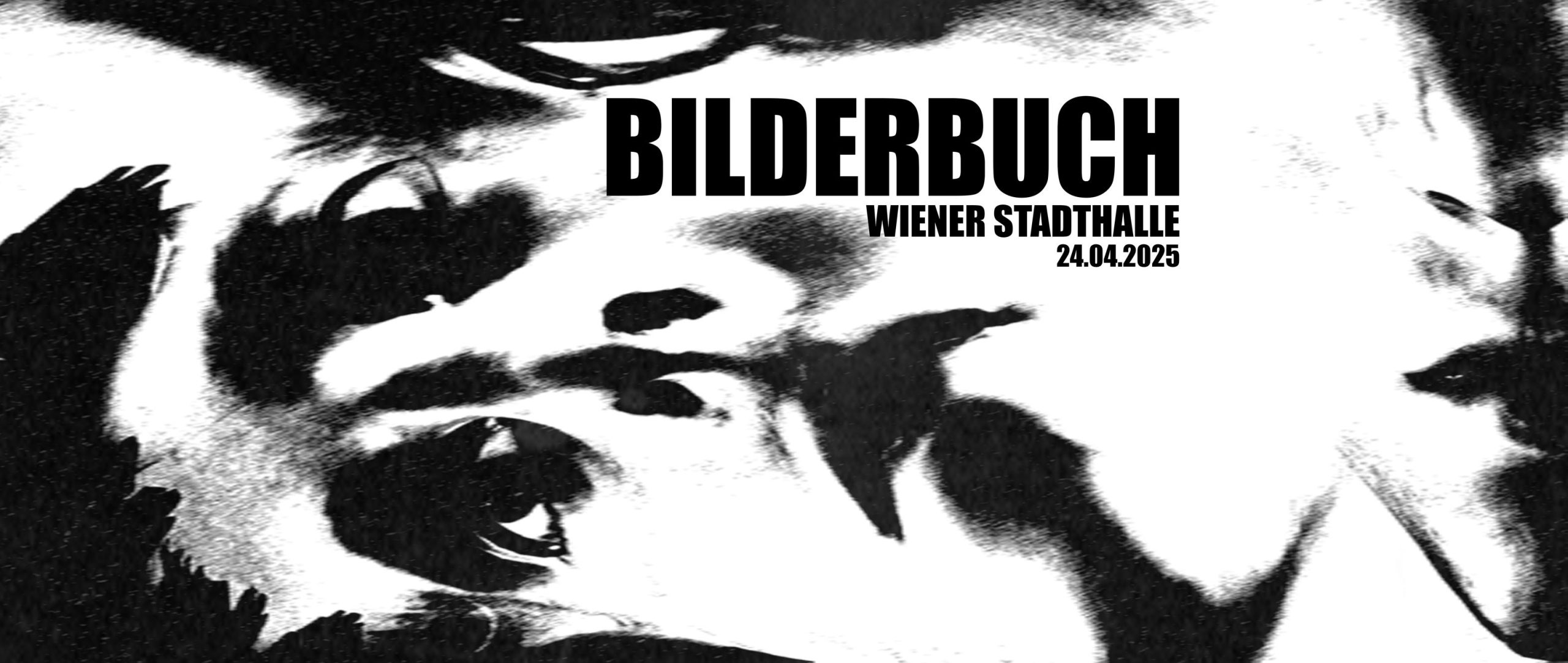 Bilderbuch am 24. April 2025 @ Wiener Stadthalle.