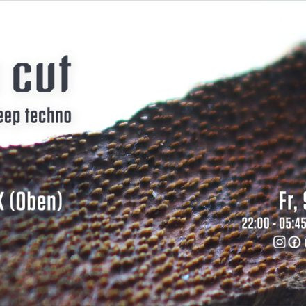 deep cut w/ PAUNA