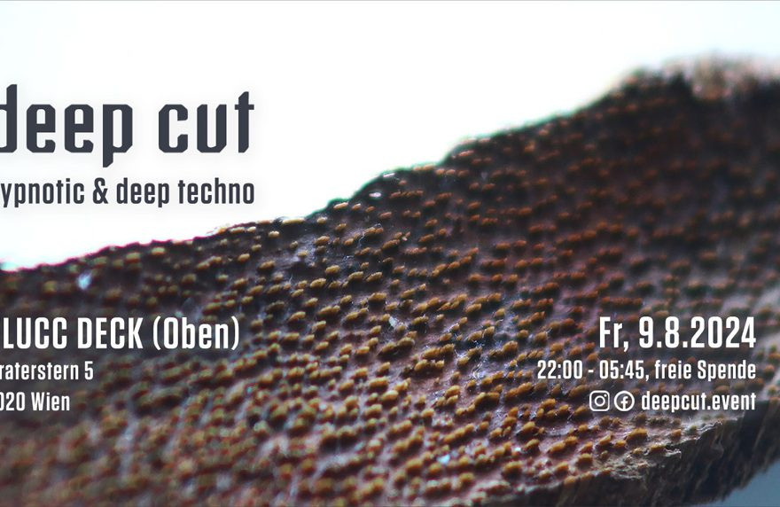 deep cut w/ PAUNA