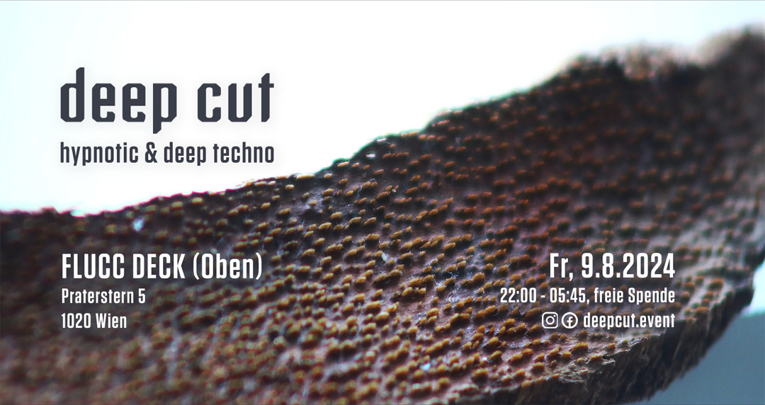 deep cut w/ PAUNA am 9. August 2024 @ Flucc.