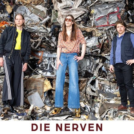 Die Nerven