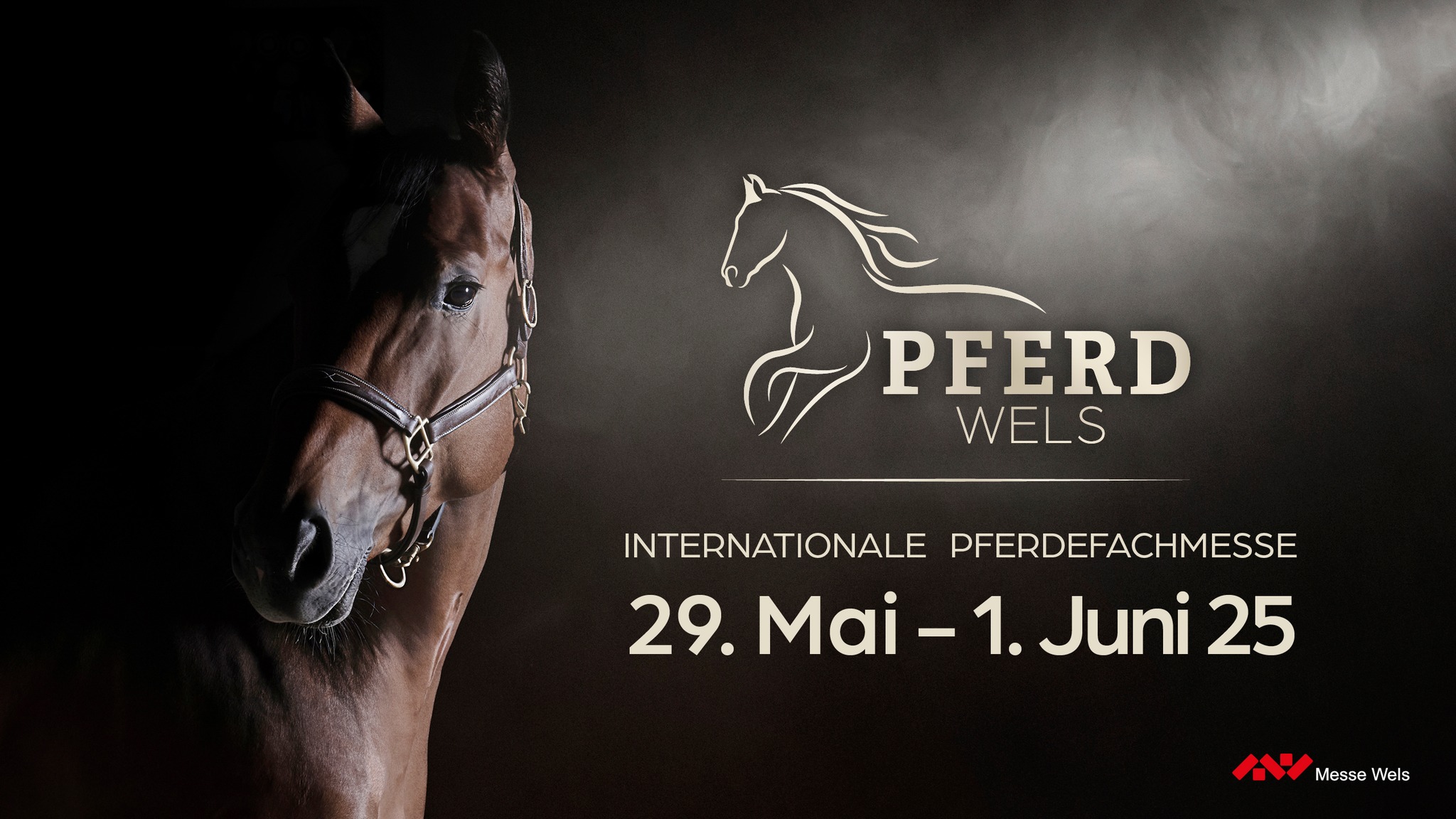 Pferd Wels 2025 am 29. May 2025 @ Messe Wels.