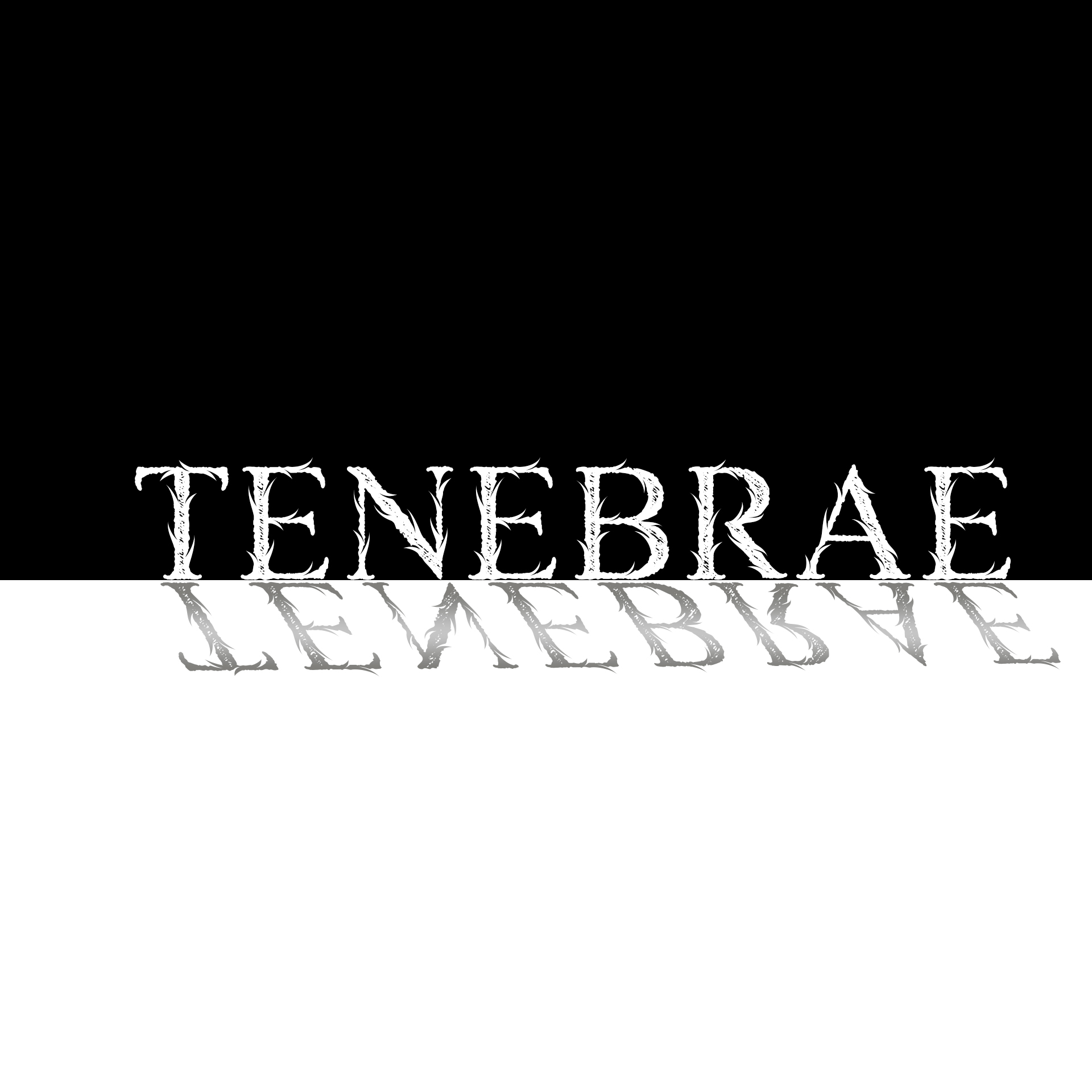 Tenebrae XI am 10. May 2025 @ Alter Schlachthof Wels.