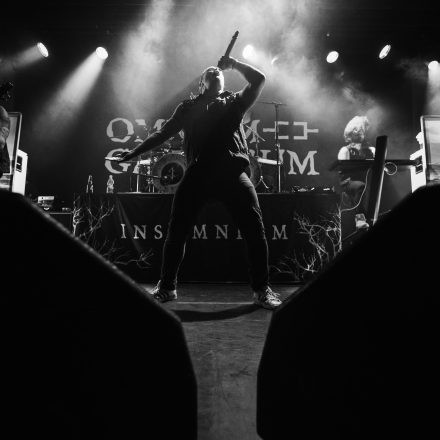 Insomnium