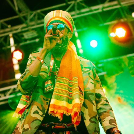 One Love Reggae Festival - Day 2