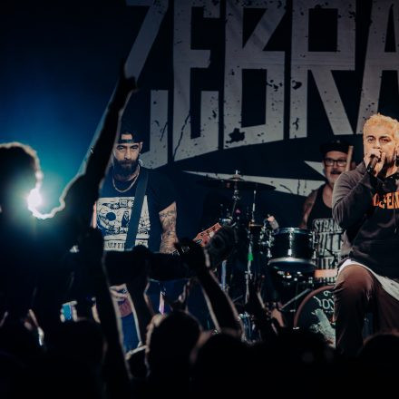 Zebrahead