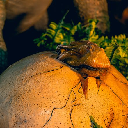 Königreich der Dinosaurier