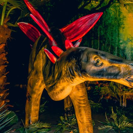 Königreich der Dinosaurier