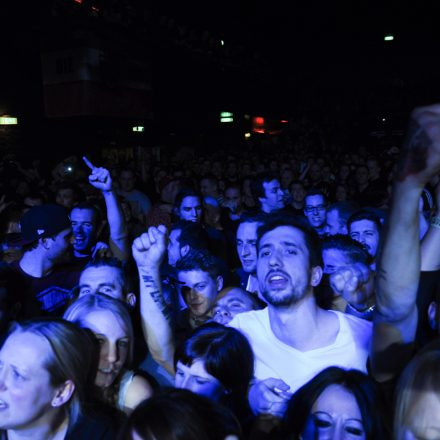 BROILERS - 'NOIR' LIVE 2014 @ Arena Wien