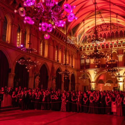 10. Wiener Ball der Wissenschaften