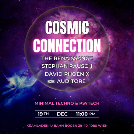 Cosmic Connection vol.13