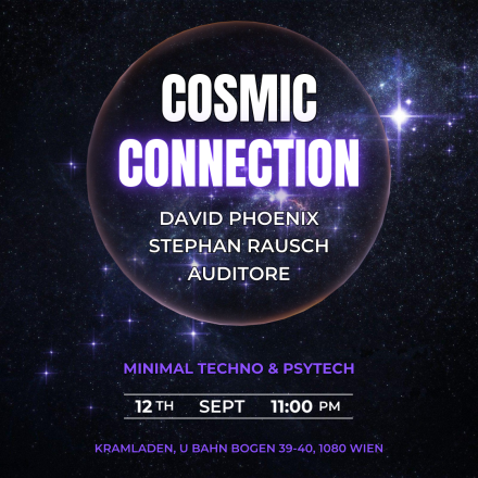 Cosmic Connection vol.12