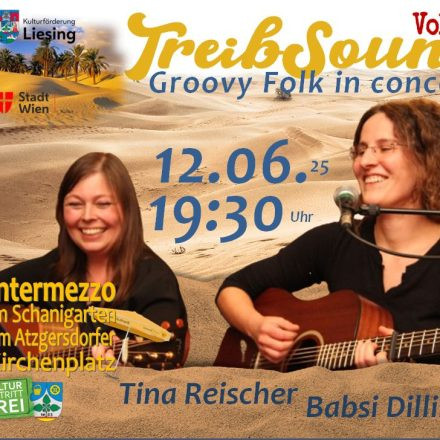 TREIBSOUND - Groovy Folk in Concert | Vol.2